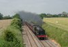 DSC_5654 46115 Waverton 080616.JPG