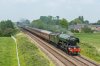 DSC_5661 60103 Steel Heath 080616.JPG