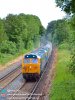 50050 50007 Winchester.001.jpg