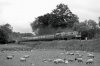 DSCF5626.JPG