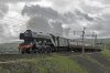60103 1b.jpg