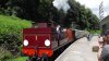 Dean Forest Railway (50).JPG