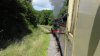 Dean Forest Railway (67).JPG