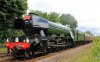 20160710 005 60103 at Addison copy.jpg