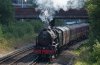 2016-07-14 46115 Brentford b.jpg