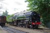 MA-70013gcr17072016.JPG