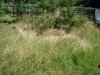 DSC03978.JPG