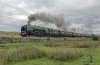 CME 46233 23.7.16 1b.jpg