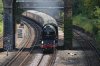 2016-07-23-60163 Putney Pullmans 2.jpg