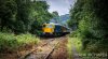 DSC_8410hr-0.jpg