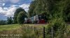 DSC_8512HR-0.jpg