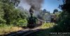 DSC_8428HR-0.jpg