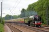 60163.jpg