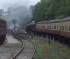 Back on NwR.jpg