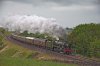 DSC_3064.jpg
