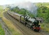 IMG_1169CRRS.JPG