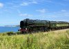 DSC04728a.jpg