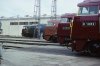 1191-010.jpg