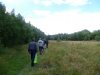 dindelsponsoredwalk.jpg