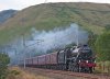 DSC_3359.jpg