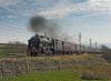 DSC_3407 LOW RES .jpg