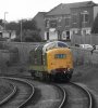 black and colour heywood deltic 16.jpg