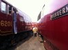 Tyseley 007a.JPG