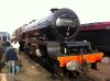 Tyseley 019a.JPG
