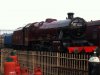 Tyseley 014a.JPG