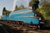 Streak in the Sun 28-10-11.JPG