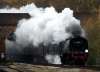 34067 Tangmere bridge 26-11-11.jpg