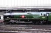 S1160037 (Medium).JPG
