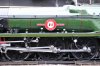 S1160040 (Medium).JPG