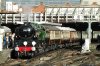 S1160059 (Medium).JPG