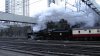 S1160012 copy (Medium).JPG