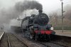 DSC_0465_edited-1.jpg