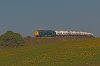 DSC_4291 DD.jpg