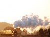 MHR U Class 31806 at Wanders curve date 15.01.2012.JPG