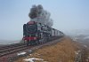 DSC_4370 gg .jpg