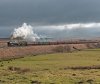 DSC_5367.jpg