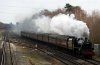 44932 Winch C 11-03-12_2.jpg