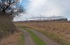 DSC_4553.jpg