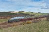 DSC_4585.jpg