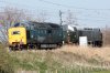 D335 & 55022.JPG