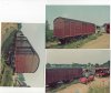 lms-cct.jpg