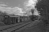 DSC_4896 bw.jpg