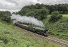 Waverley 60103 14.8.16 2b.jpg