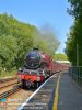 45699 Ashurst.001.jpg