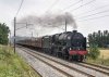 DSC_13078.jpg