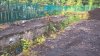WP_20160820_17_59_04_Pro.jpg